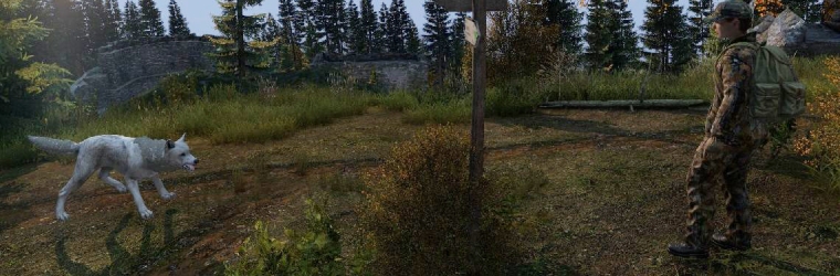 DayZ review