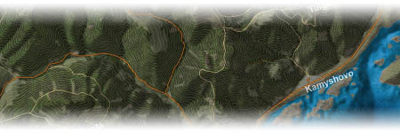 From the map of Chernarus.