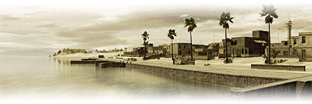 Harbour of Porto