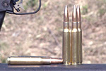Wait, in-game? :: No, this is actually another photo, but the rifle is indeed part of the game's content - complete with animated barrel!