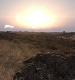 Dawn Raid:: Surely you can't fight a war when the scene looks this relaxing? Ok, fine, you can.